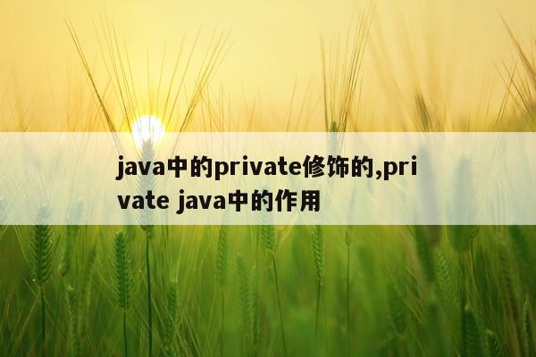 java中的private修饰的,private java中的作用