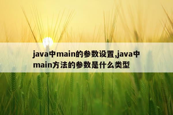 java中main的参数设置,java中main方法的参数是什么类型