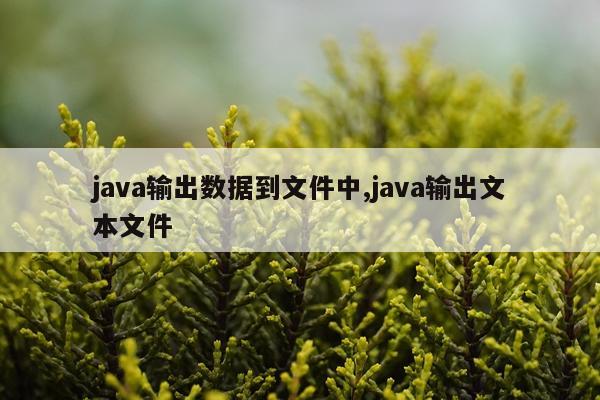 java输出数据到文件中,java输出文本文件