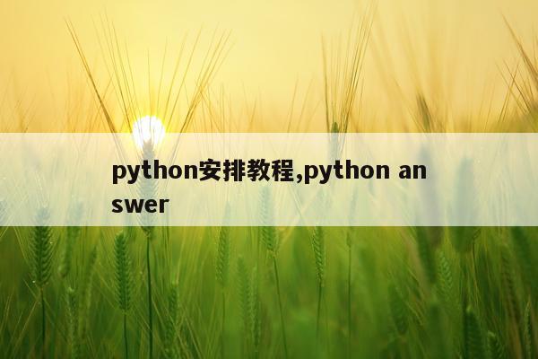 python安排教程,python answer
