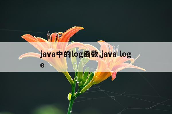 java中的log函数,java loge