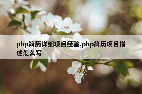 php简历详细项目经验,php简历项目描述怎么写