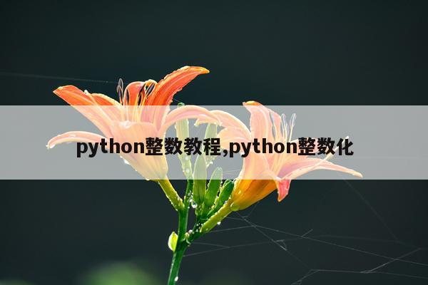 python整数教程,python整数化