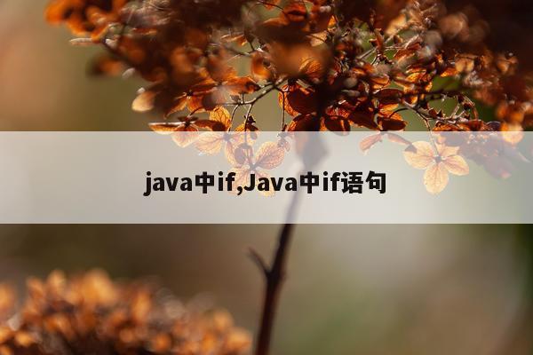 java中if,Java中if语句