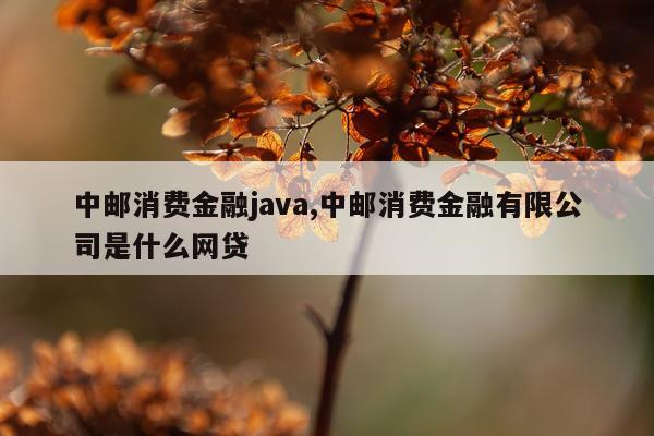 中邮消费金融java,中邮消费金融有限公司是什么网贷