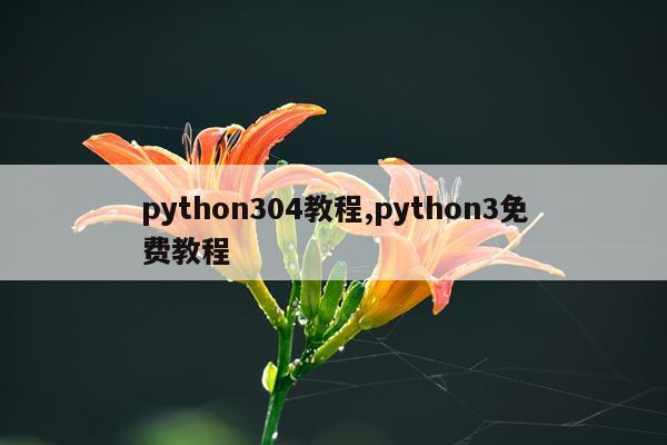 python304教程,python3免费教程
