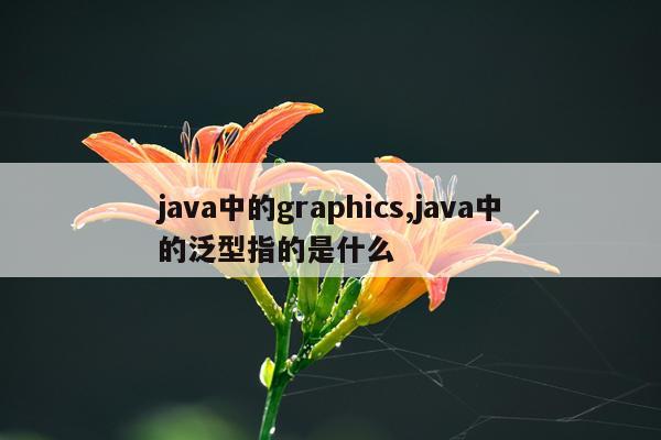 java中的graphics,java中的泛型指的是什么