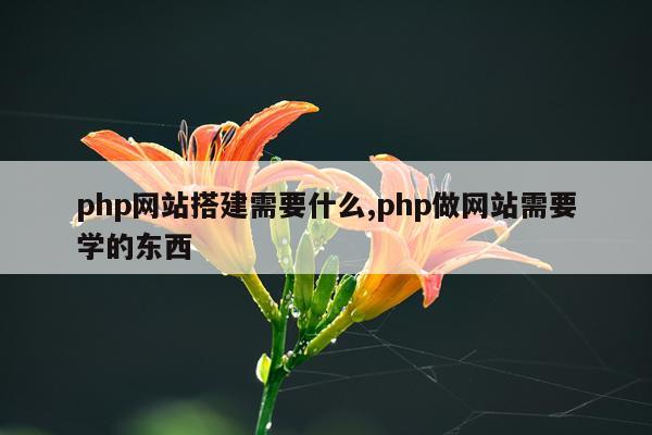 php网站搭建需要什么,php做网站需要学的东西