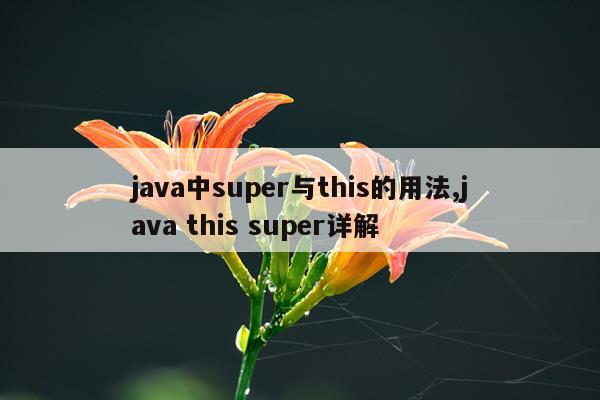 java中super与this的用法,java this super详解