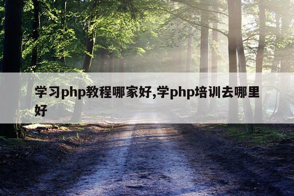 学习php教程哪家好,学php培训去哪里好