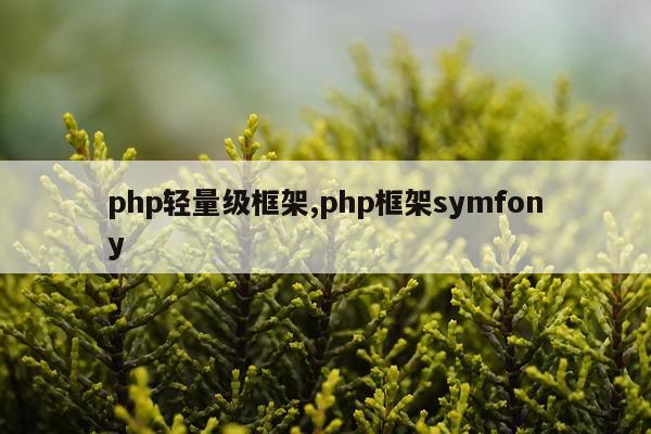 php轻量级框架,php框架symfony