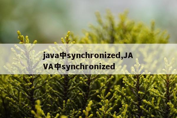 java中synchronized,JAVA中synchronized