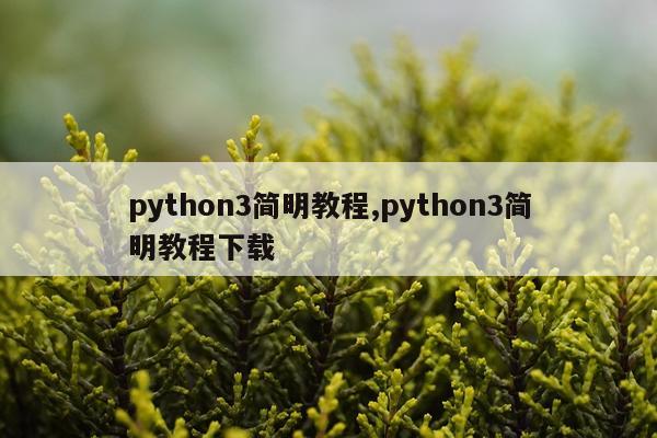 python3简明教程,python3简明教程下载
