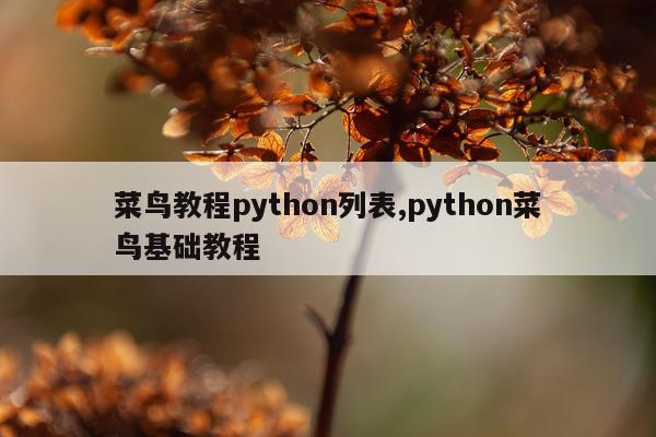 菜鸟教程python列表,python菜鸟基础教程