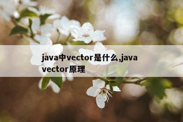 java中vector是什么,java vector原理