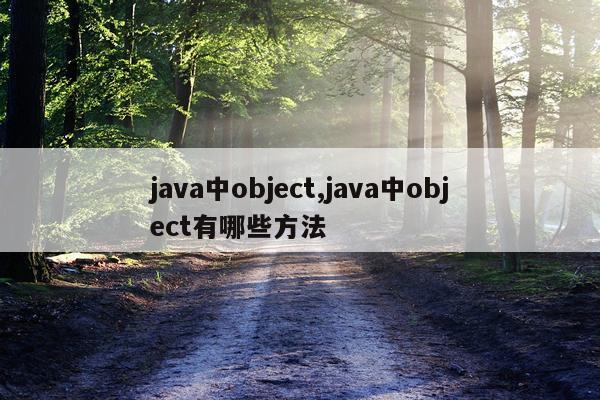 java中object,java中object有哪些方法