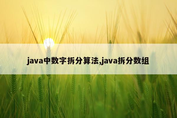 java中数字拆分算法,java拆分数组