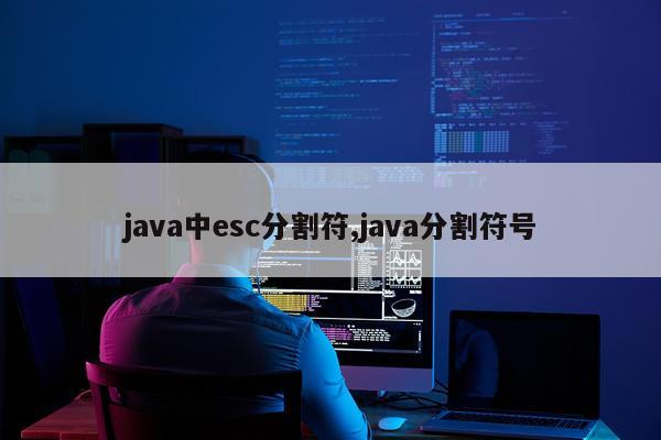 java中esc分割符,java分割符号