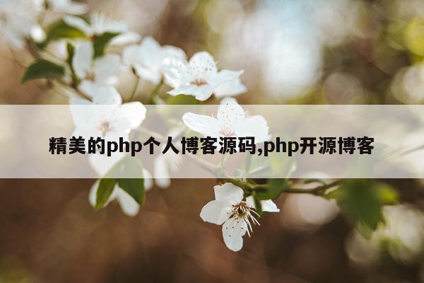 精美的php个人博客源码,php开源博客