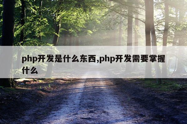 php开发是什么东西,php开发需要掌握什么