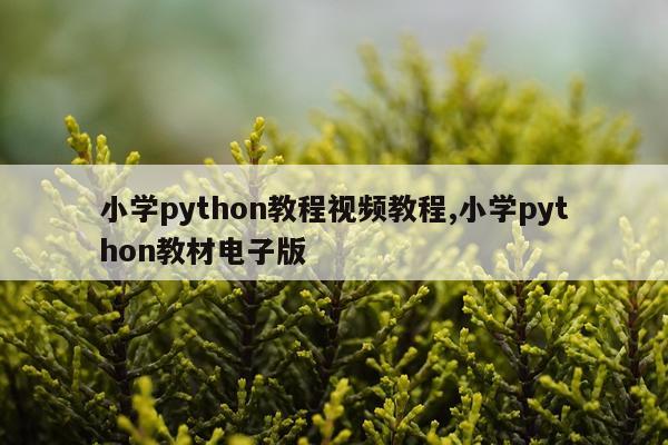 小学python教程视频教程,小学python教材电子版