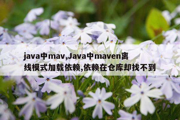 java中mav,Java中maven离线模式加载依赖,依赖在仓库却找不到