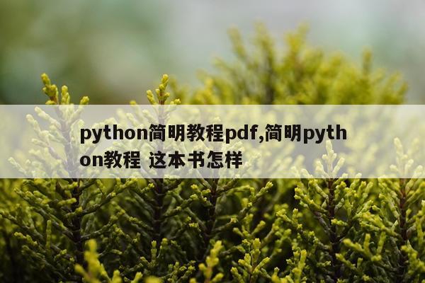 python简明教程pdf,简明python教程 这本书怎样