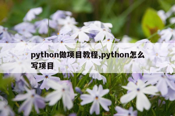 python做项目教程,python怎么写项目