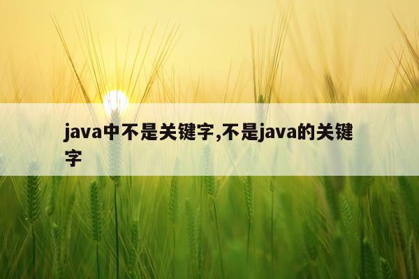 java中不是关键字,不是java的关键字