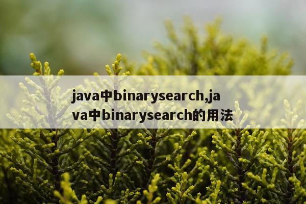 java中binarysearch,java中binarysearch的用法