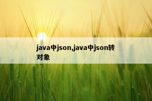 java中json,java中json转对象