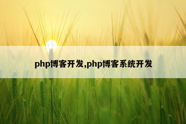 php博客开发,php博客系统开发