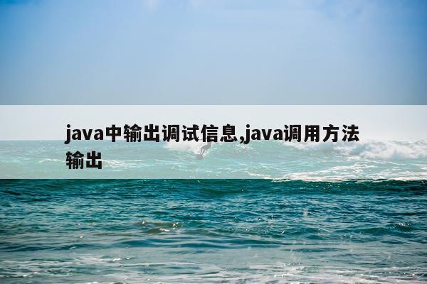 java中输出调试信息,java调用方法输出