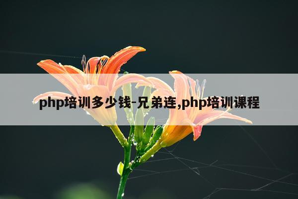 php培训多少钱-兄弟连,php培训课程