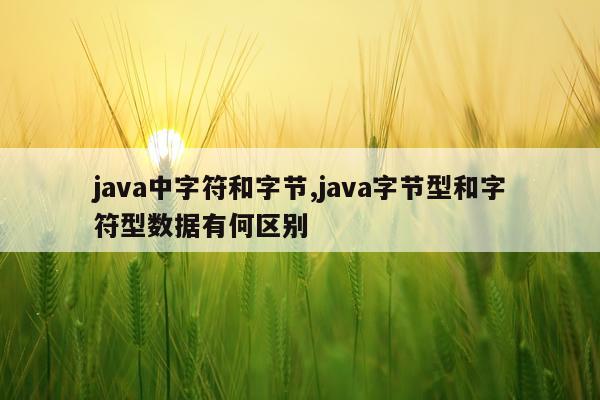 java中字符和字节,java字节型和字符型数据有何区别