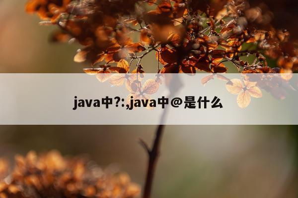 java中?:,java中@是什么
