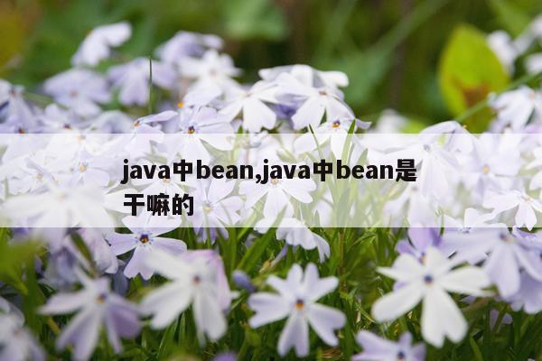 java中bean,java中bean是干嘛的