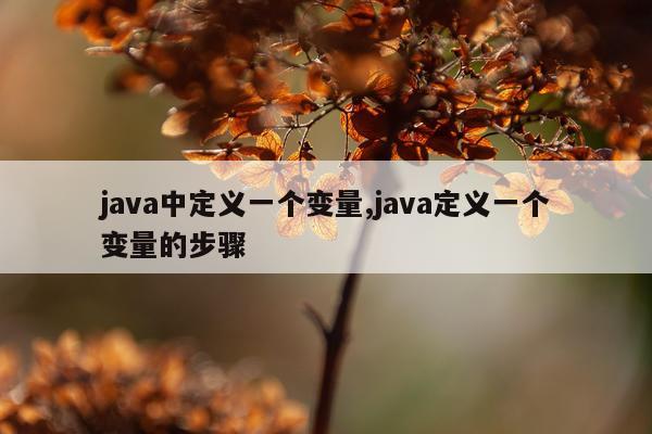 java中定义一个变量,java定义一个变量的步骤