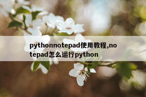 pythonnotepad使用教程,notepad怎么运行python