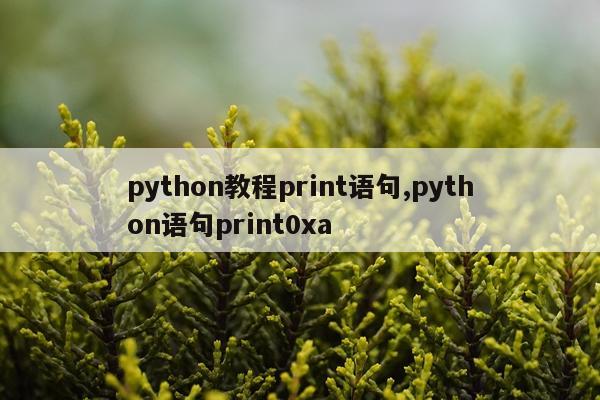 python教程print语句,python语句print0xa