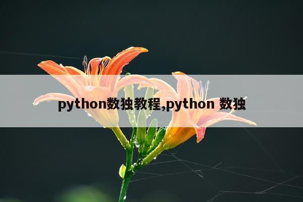 python数独教程,python 数独