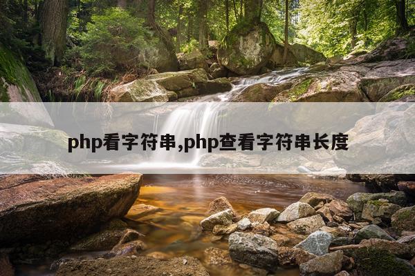 php看字符串,php查看字符串长度