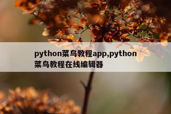 python菜鸟教程app,python菜鸟教程在线编辑器