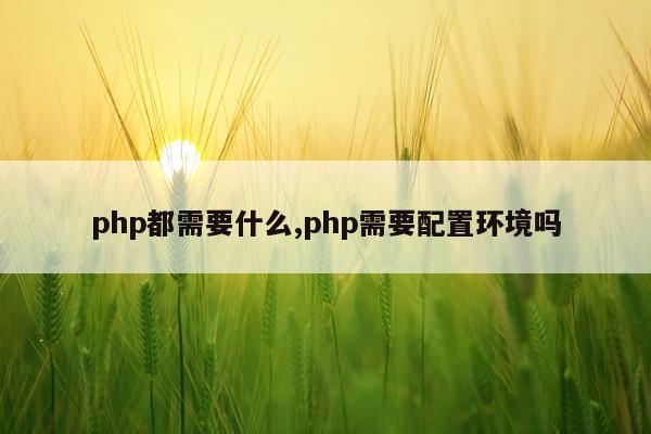 php都需要什么,php需要配置环境吗