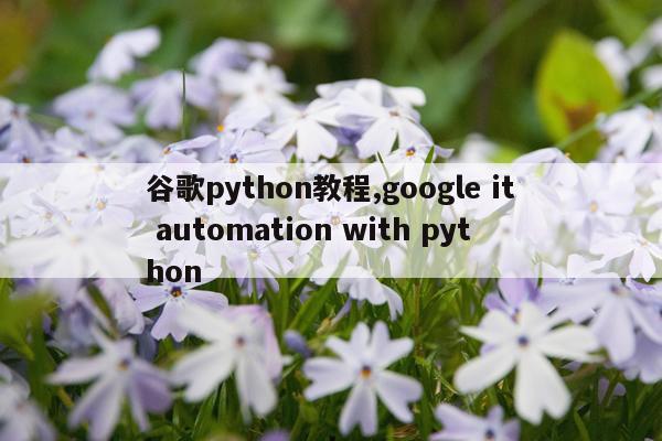 谷歌python教程,google it automation with python