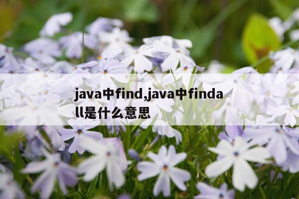 java中find,java中findall是什么意思