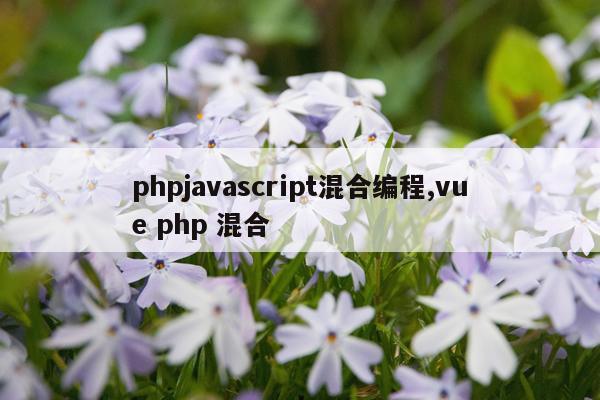 phpjavascript混合编程,vue php 混合