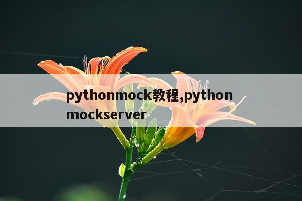 pythonmock教程,python mockserver