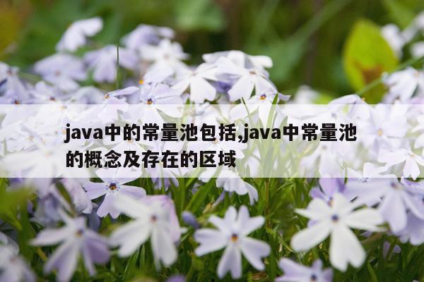 java中的常量池包括,java中常量池的概念及存在的区域