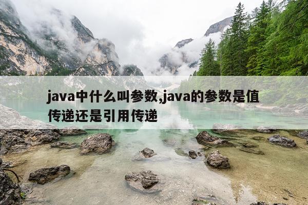java中什么叫参数,java的参数是值传递还是引用传递